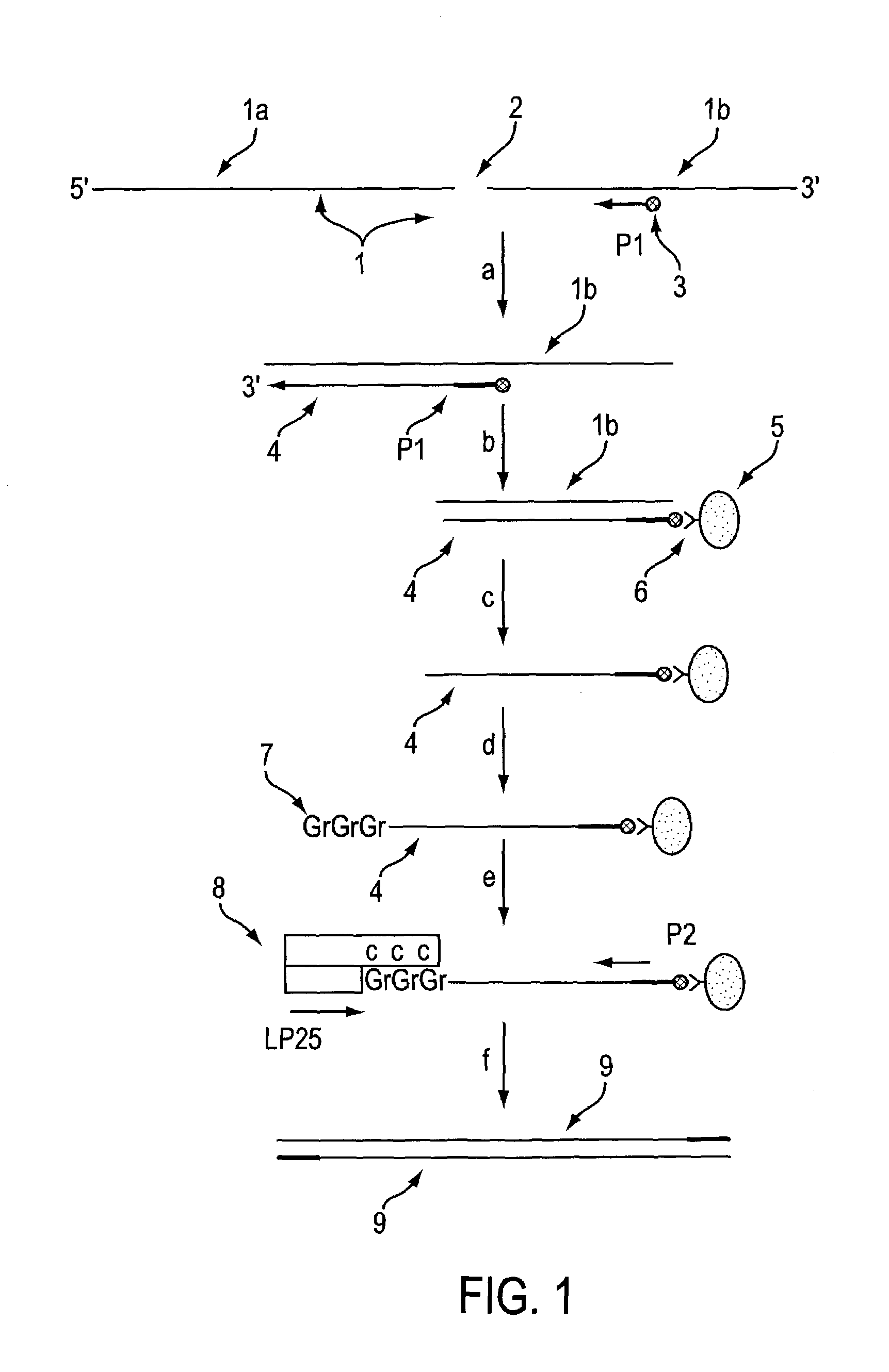 Method for identifying accessible binding sites on RNA