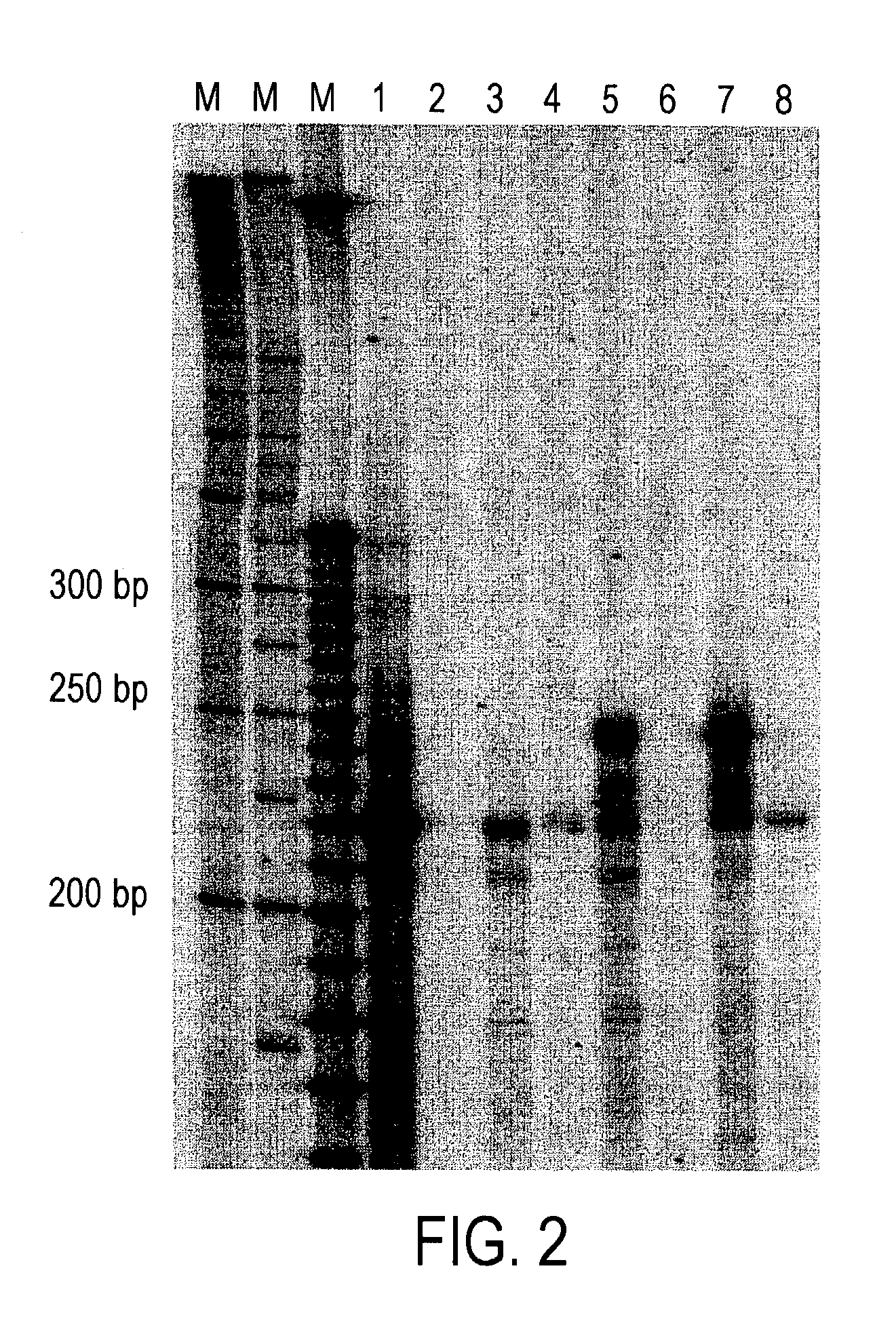 Method for identifying accessible binding sites on RNA