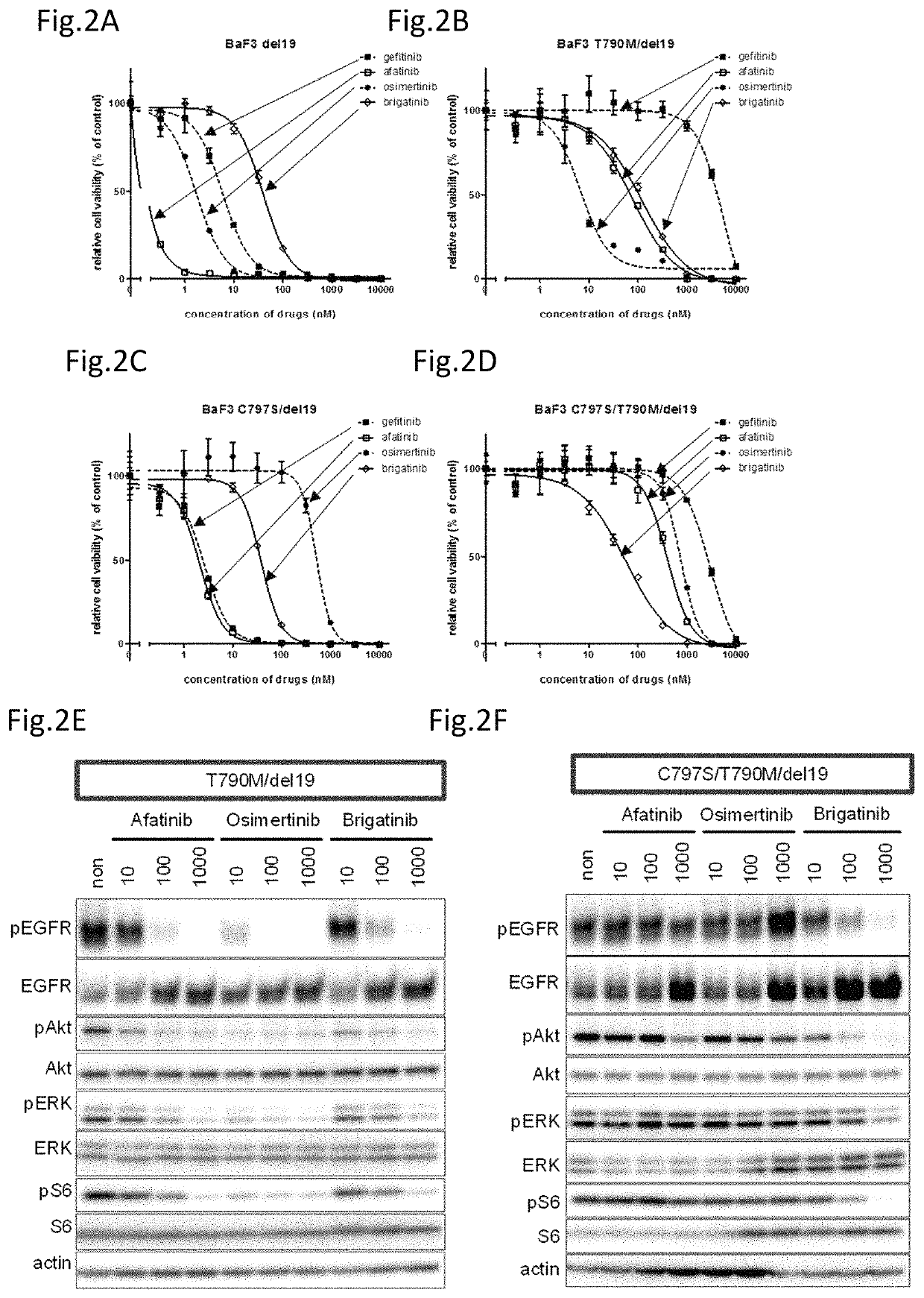 Therapeutic agent for lung cancer that has acquired EGFR-TKI resistance