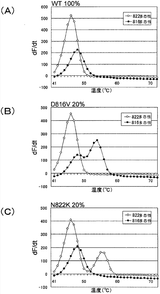 Probes for detection of polymorphisms of c-kit gene, and use thereof