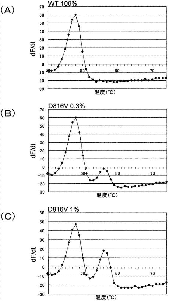 Probes for detection of polymorphisms of c-kit gene, and use thereof