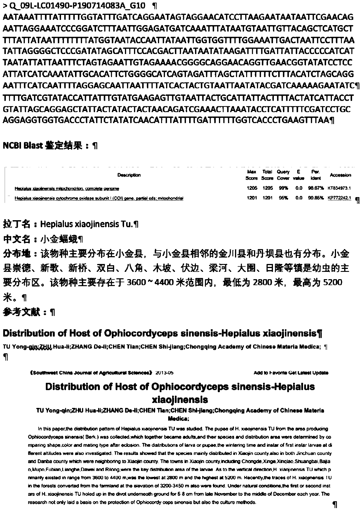 DNA bar code composition for identifying origin of cordyceps sinensis and application of DNA bar code composition