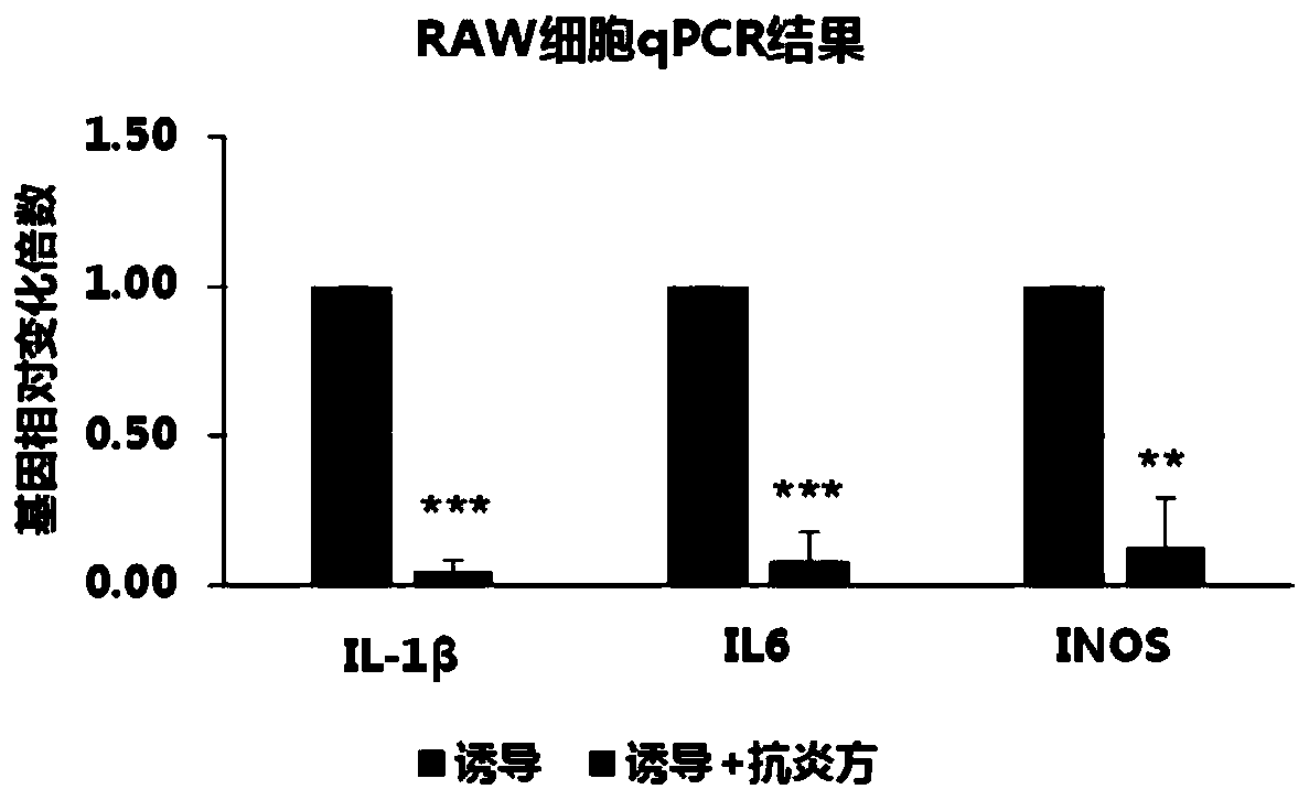 Traditional Chinese medicine composition and application thereof in preparing drugs for treating rhinitis