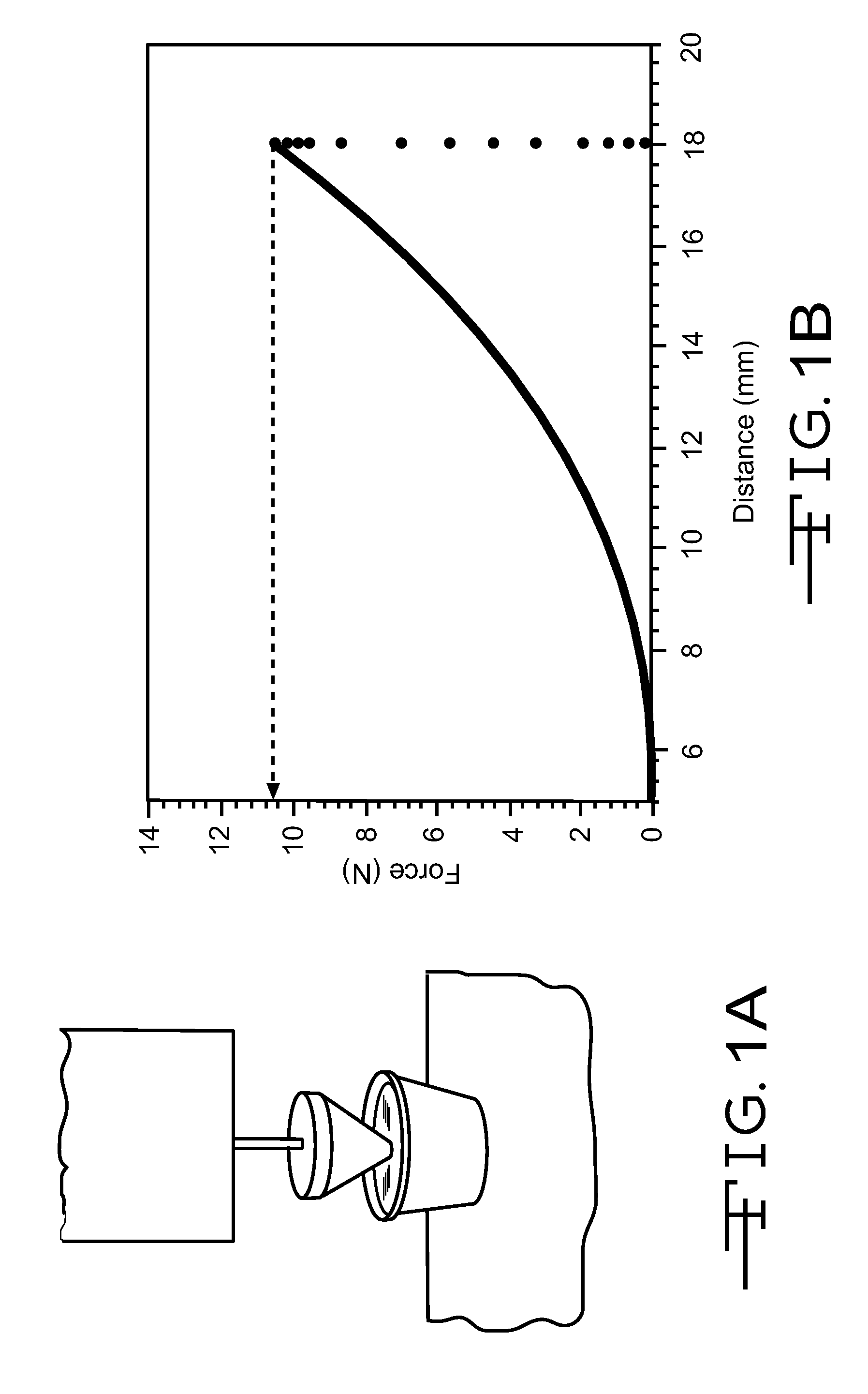 Triacylglycerol Based Composition