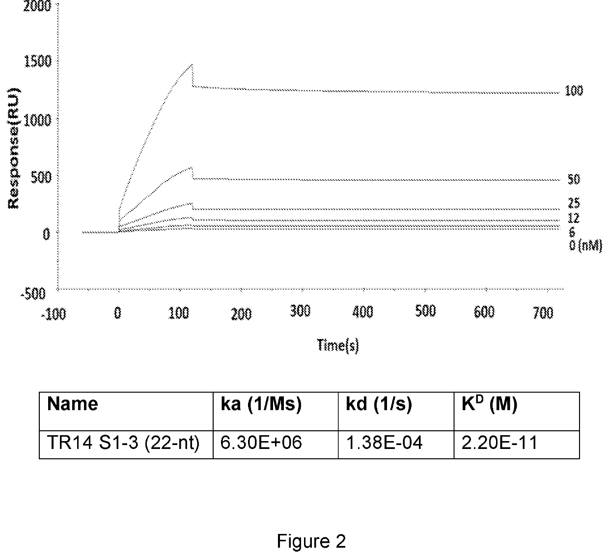 RNA aptamers against transferrin receptor (TFR)