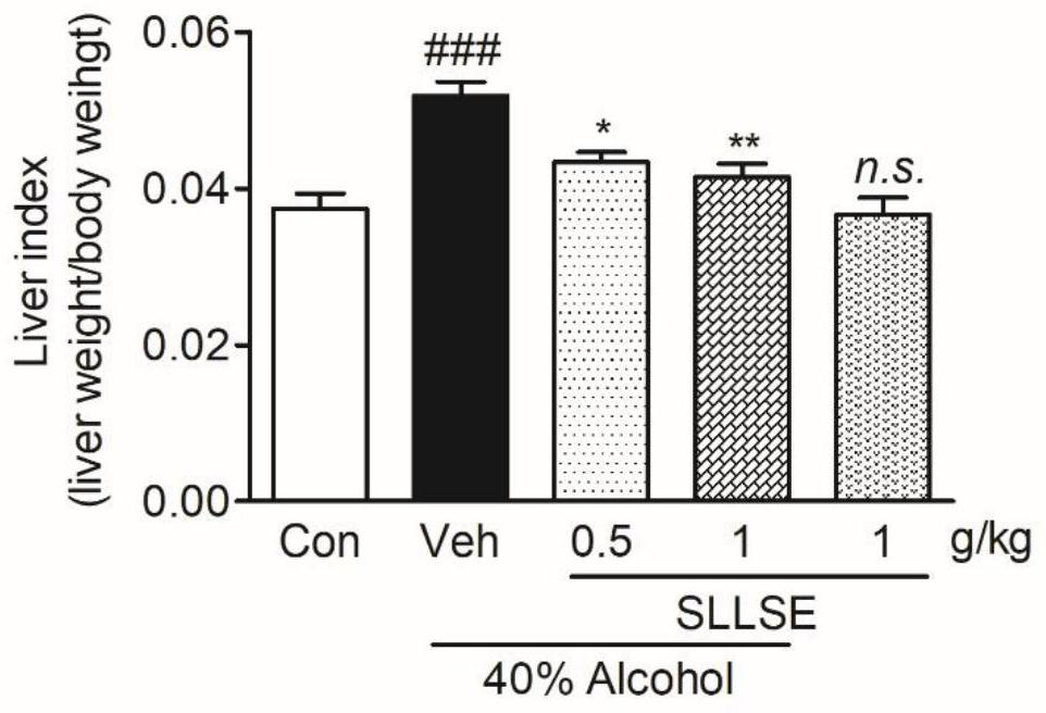 Application of solanum lycopersicum stem and leaf extracts for treating alcohol induced liver injury