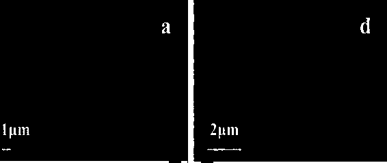 Metal oxide loaded pucherite composite material as well as preparation and application thereof