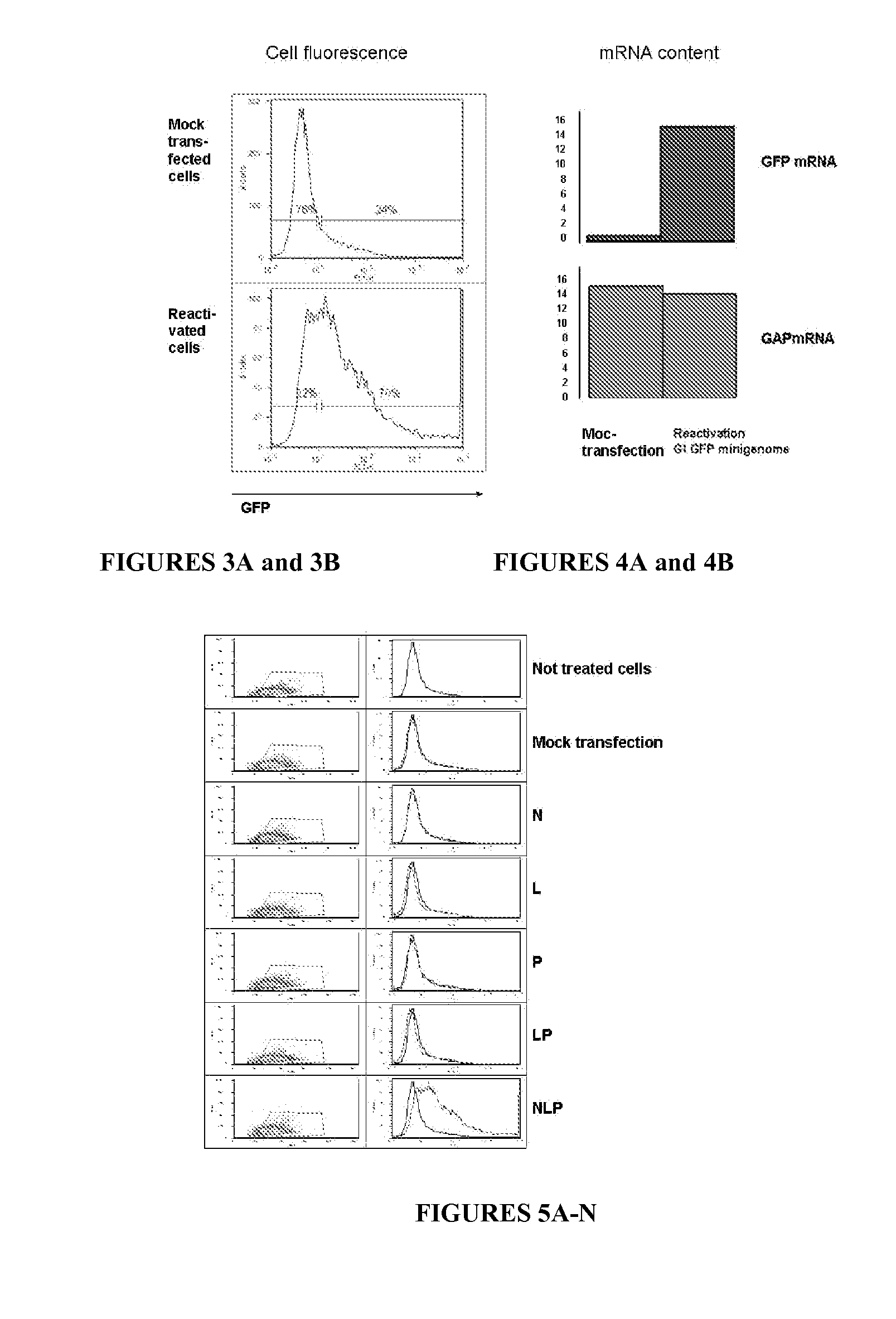 Compositions and Methods for Transient Expression of Recombinant RNA