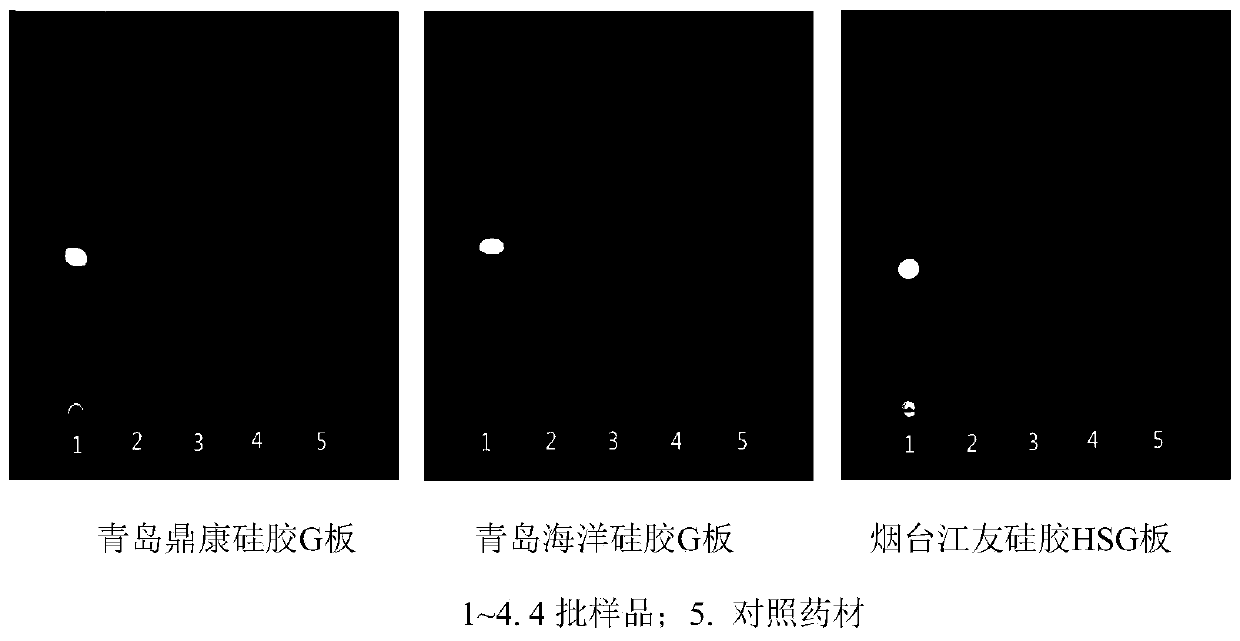Thin-layer chromatography identification of Solamum melongena and quality control method thereof