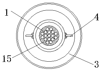 Push-pull type circular electric connector capable of preventing shedding
