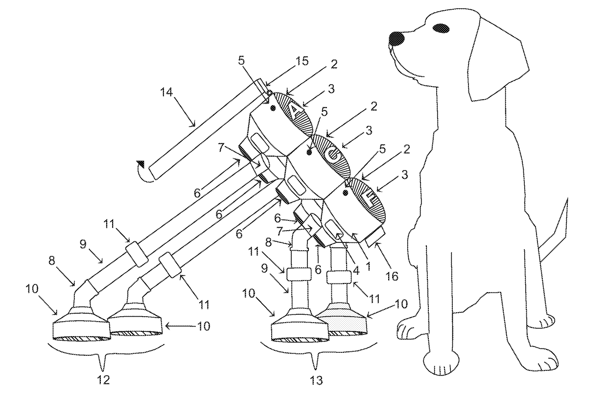 Functional Communication Lexigram Device and Training Method for Animal and Human