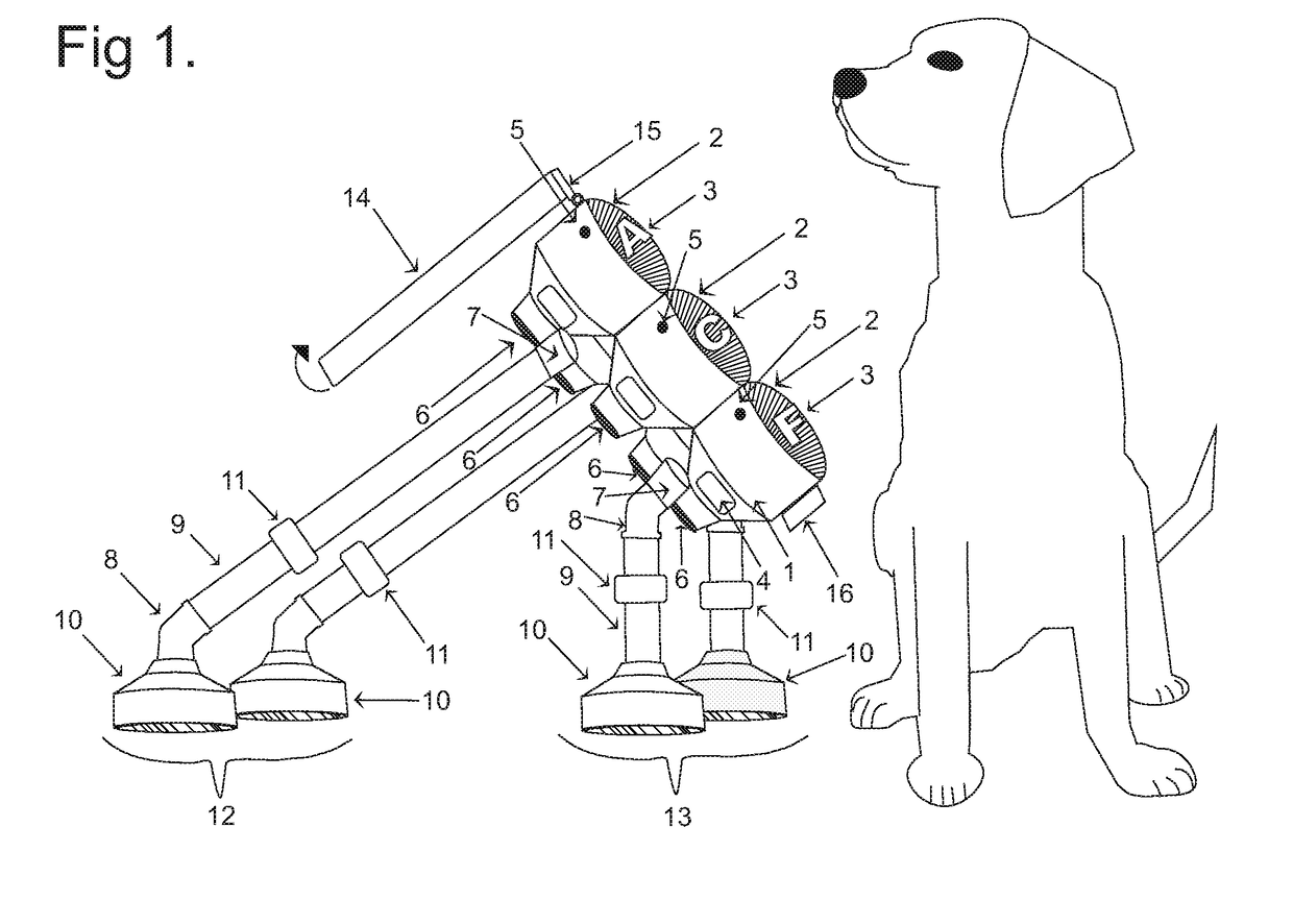 Functional Communication Lexigram Device and Training Method for Animal and Human