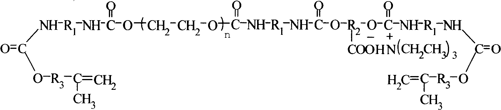 Ultraviolet light solidfication water polyurethane acrylate paint resin and its preparation method