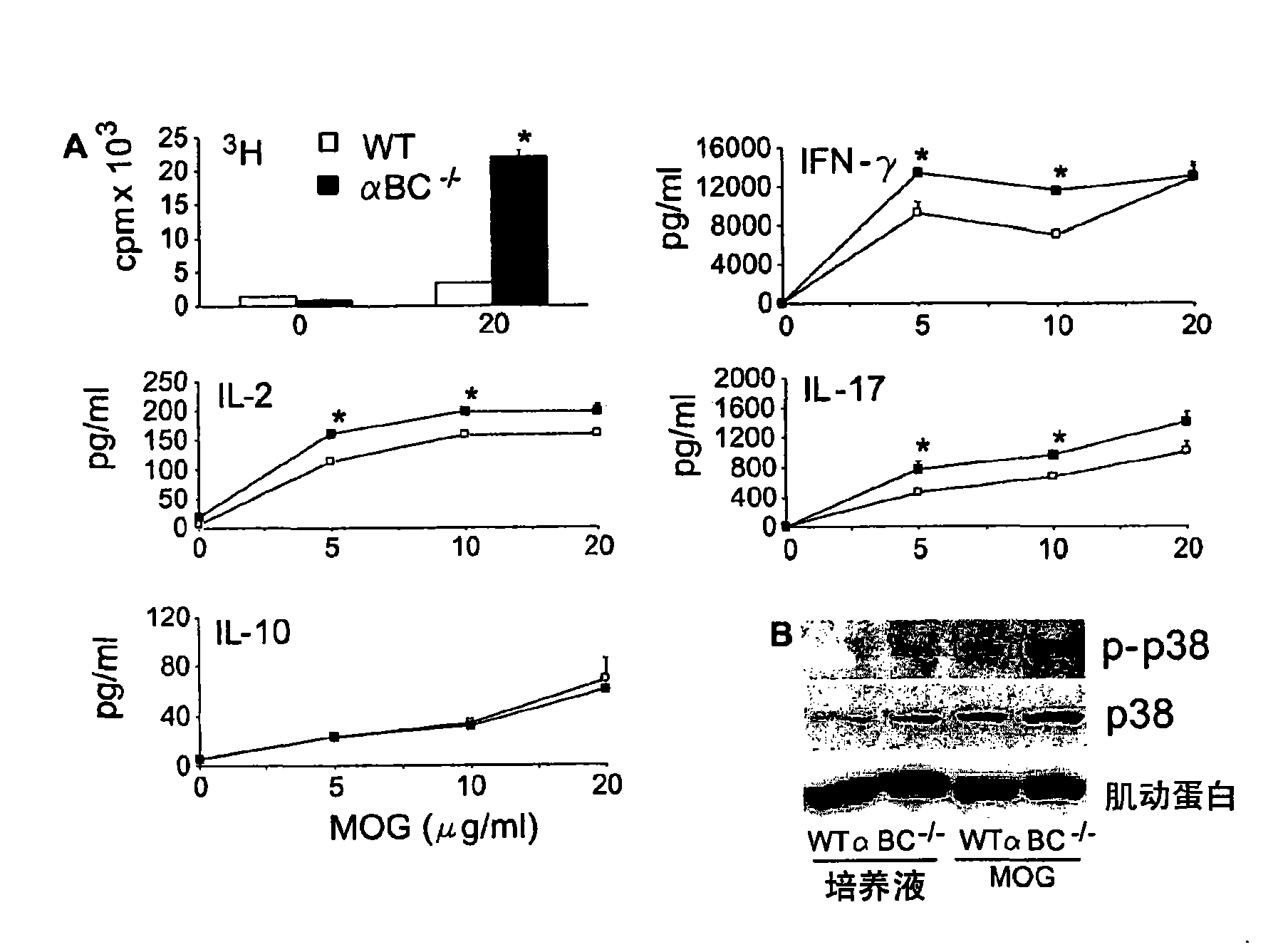 Alpha b-crystallin as a therapy for inflammation