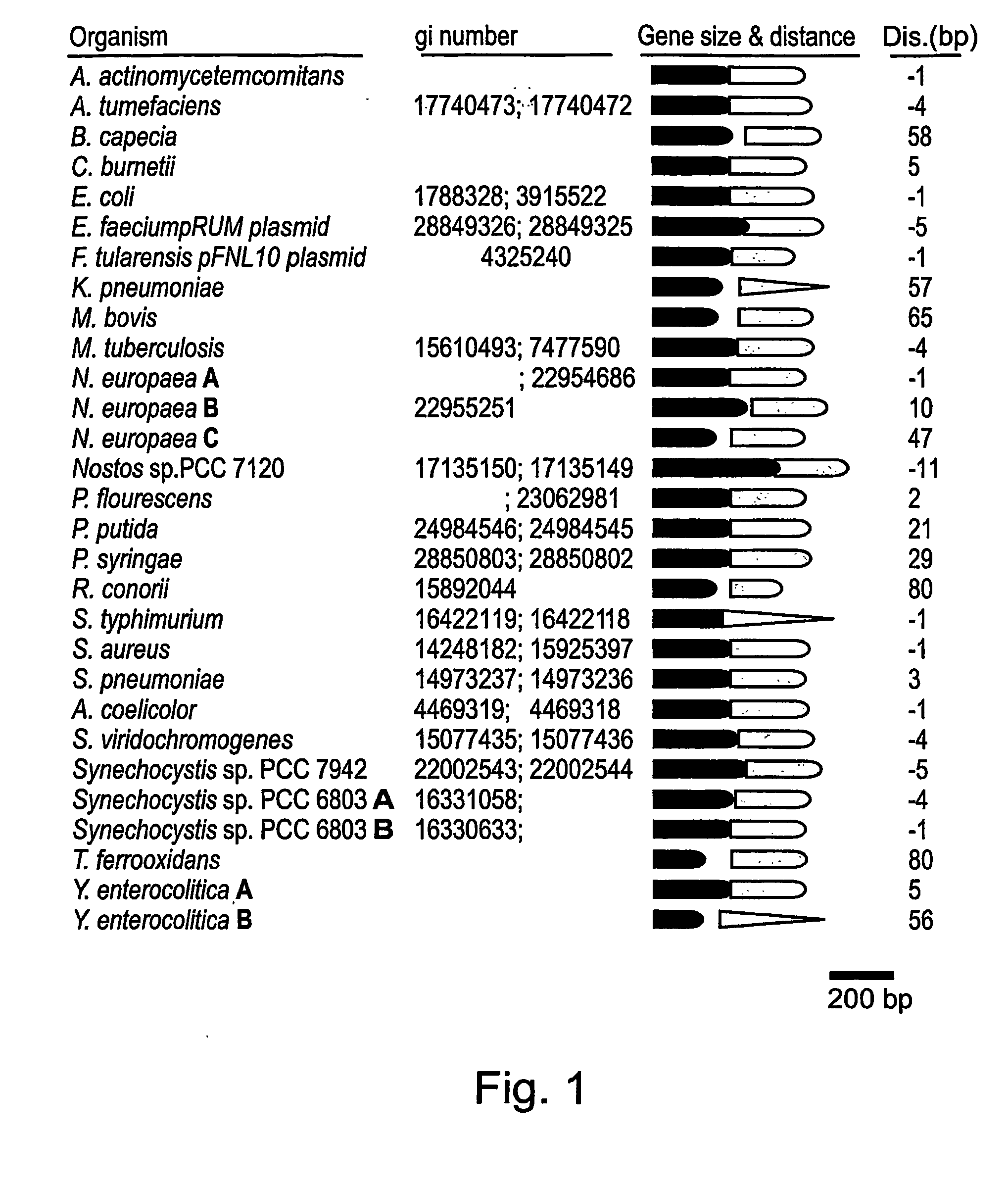 Novel Antibacterial Agents and Methods of Identifying and Utilizing Same