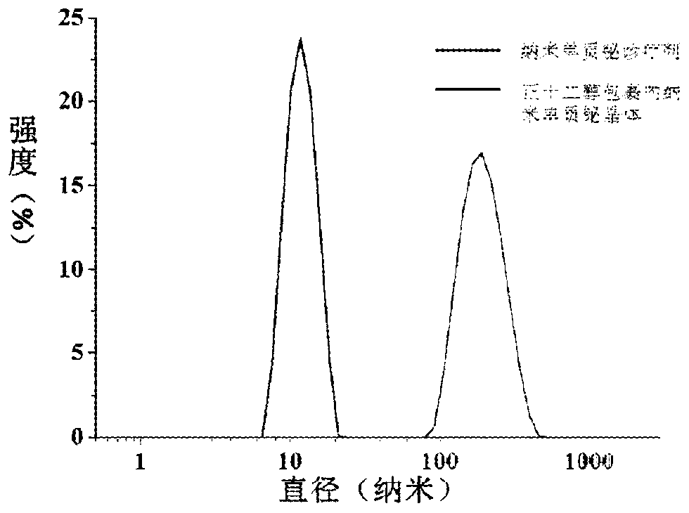 A preparation method of a nanometer elemental bismuth diagnostic and therapeutic agent for CT/PAT contrast imaging and photothermal therapy