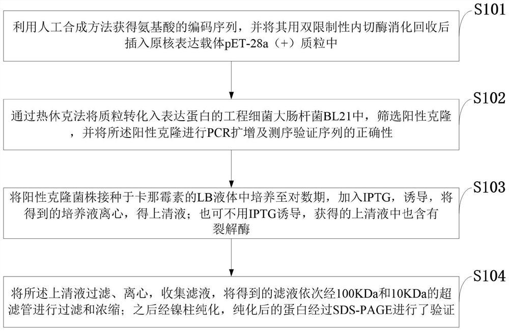 Lyase with high temperature tolerance as well as preparation method and application of lyase