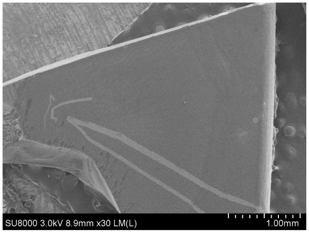 Electrochromic polymer materials and preparation of electrochromic devices based on combinatorial strategies