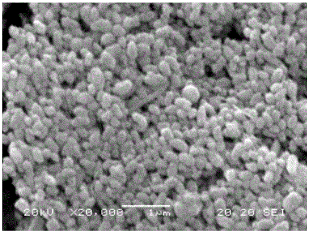 Spherical nano strontium carbonate and preparation method thereof