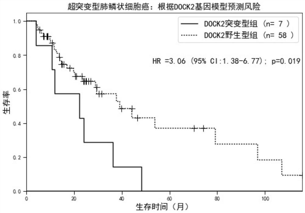 Genes for molecular typing of hypermutated tumors and their application