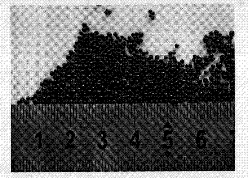 One-step preparation method for synthesizing black expandable polystyrene particles