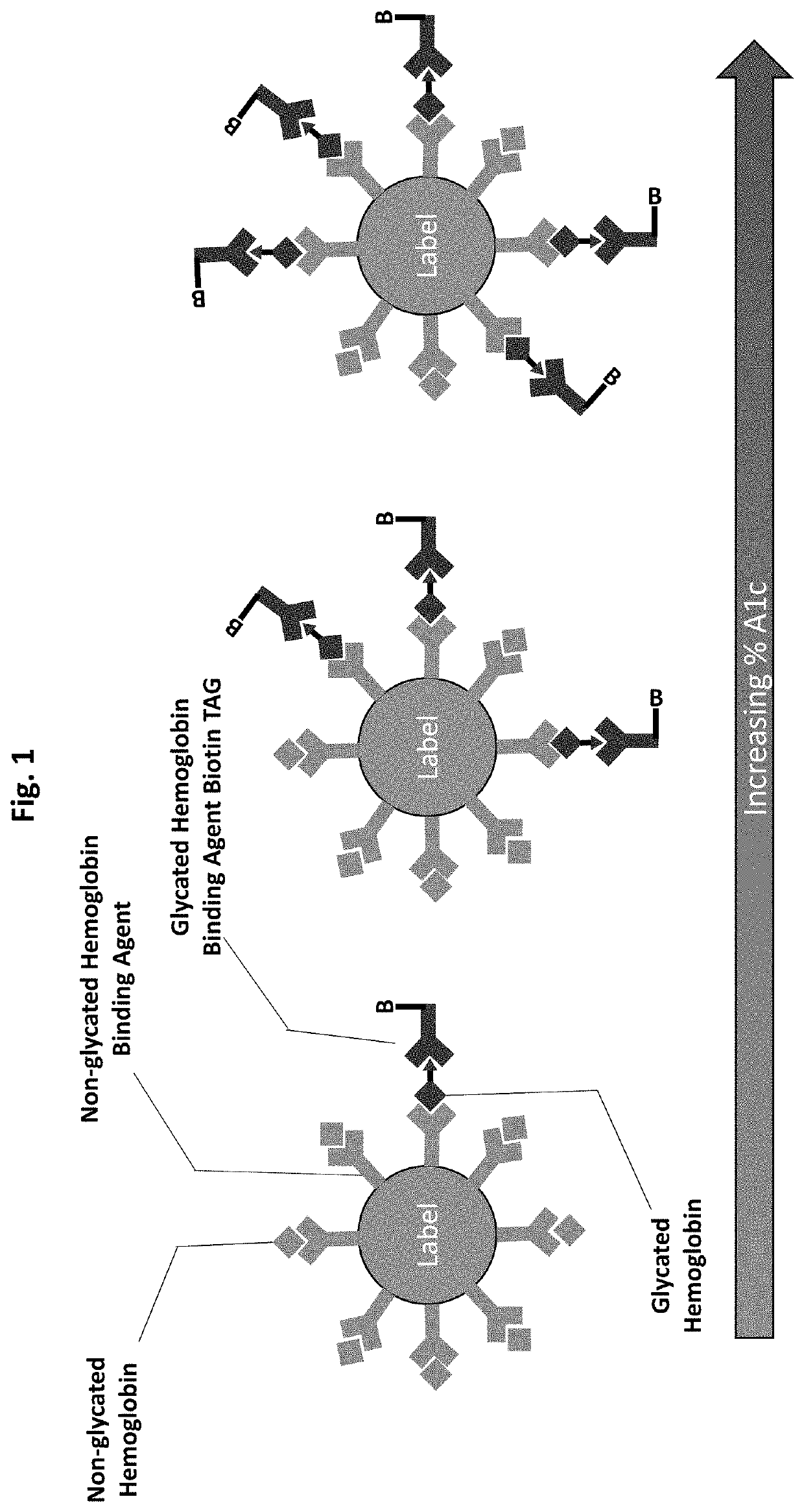 Saturation binding ratiometric assay