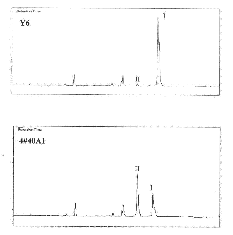 Dunaliella gene knockout vector and application thereof