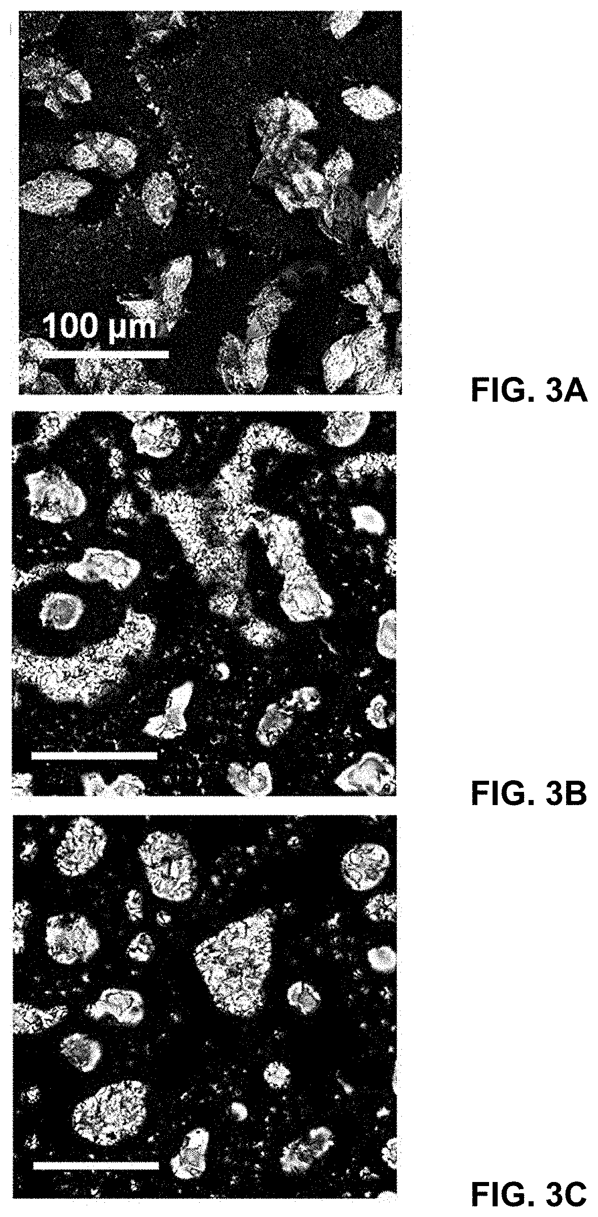 Main-chain liquid crystalline hydrogels for cell culture