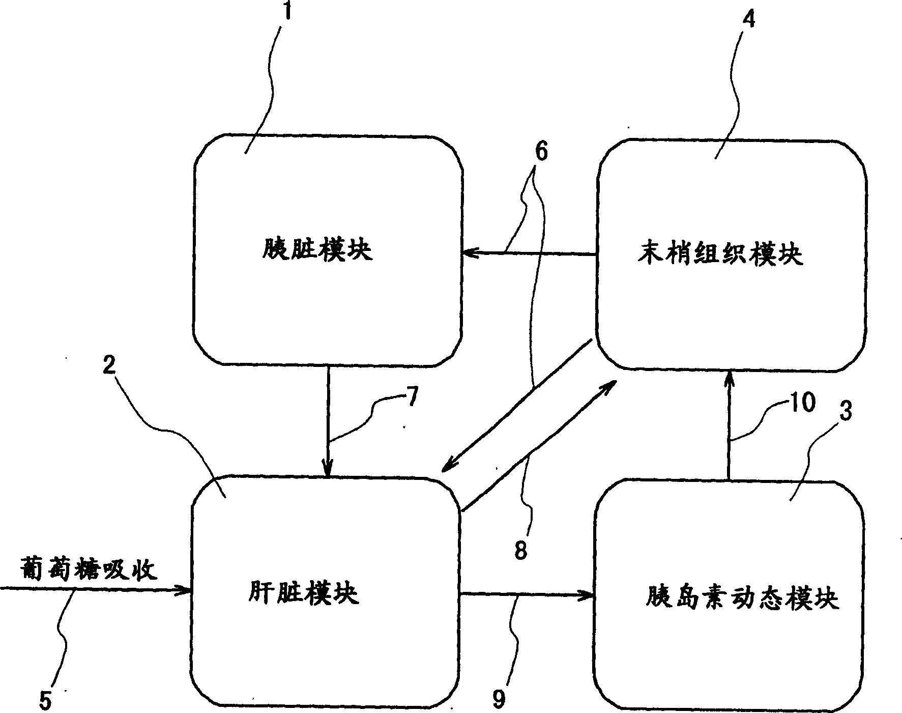 Simulation system for functions of biological organs and program