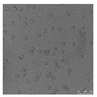 Silicon plastid microcapsule and preparation method thereof