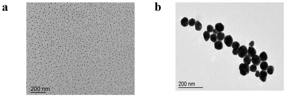 Method for detecting various mycotoxins based on Raman spectrum of gold nanoparticles