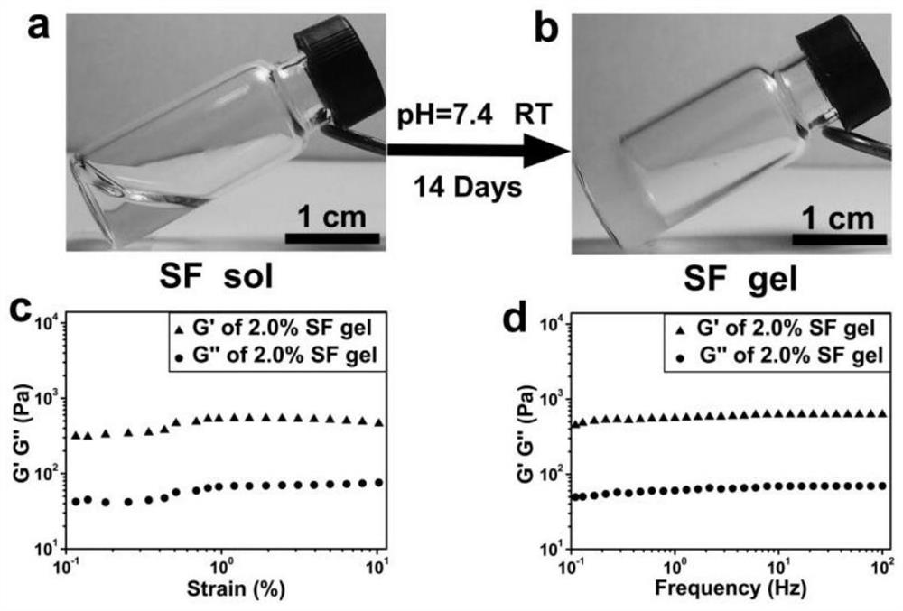 Alkaline phosphatase-induced gelation and biomimetic mineralization of silk protein solution