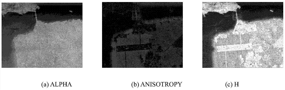 Segmentation of Polarized SAR Image Based on Deep Belief Network