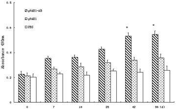 Cryptosporidium andersoni nucleic acid vaccine with cross protection and preparation method of vaccine