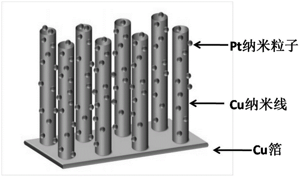 Preparation method of Pt nanometer particle-modified Cu nanowire array electrode and use of Pt nanometer particle-modified Cu nanowire array electrode in enzyme-free glucose sensor