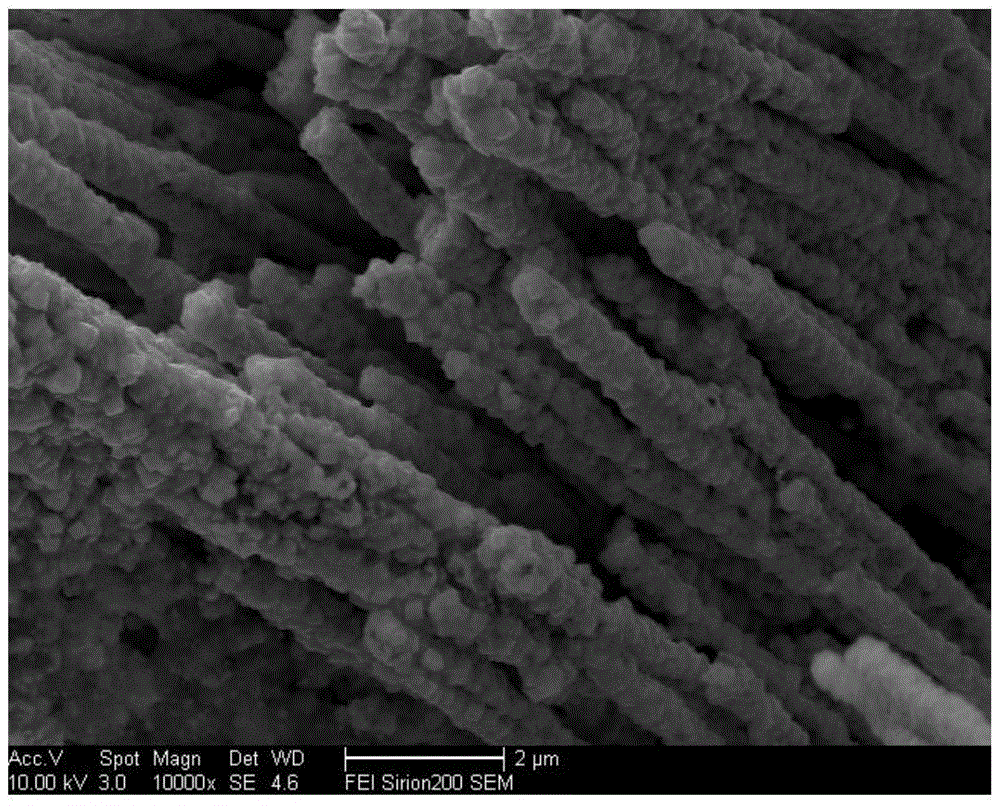 Preparation method of Pt nanometer particle-modified Cu nanowire array electrode and use of Pt nanometer particle-modified Cu nanowire array electrode in enzyme-free glucose sensor