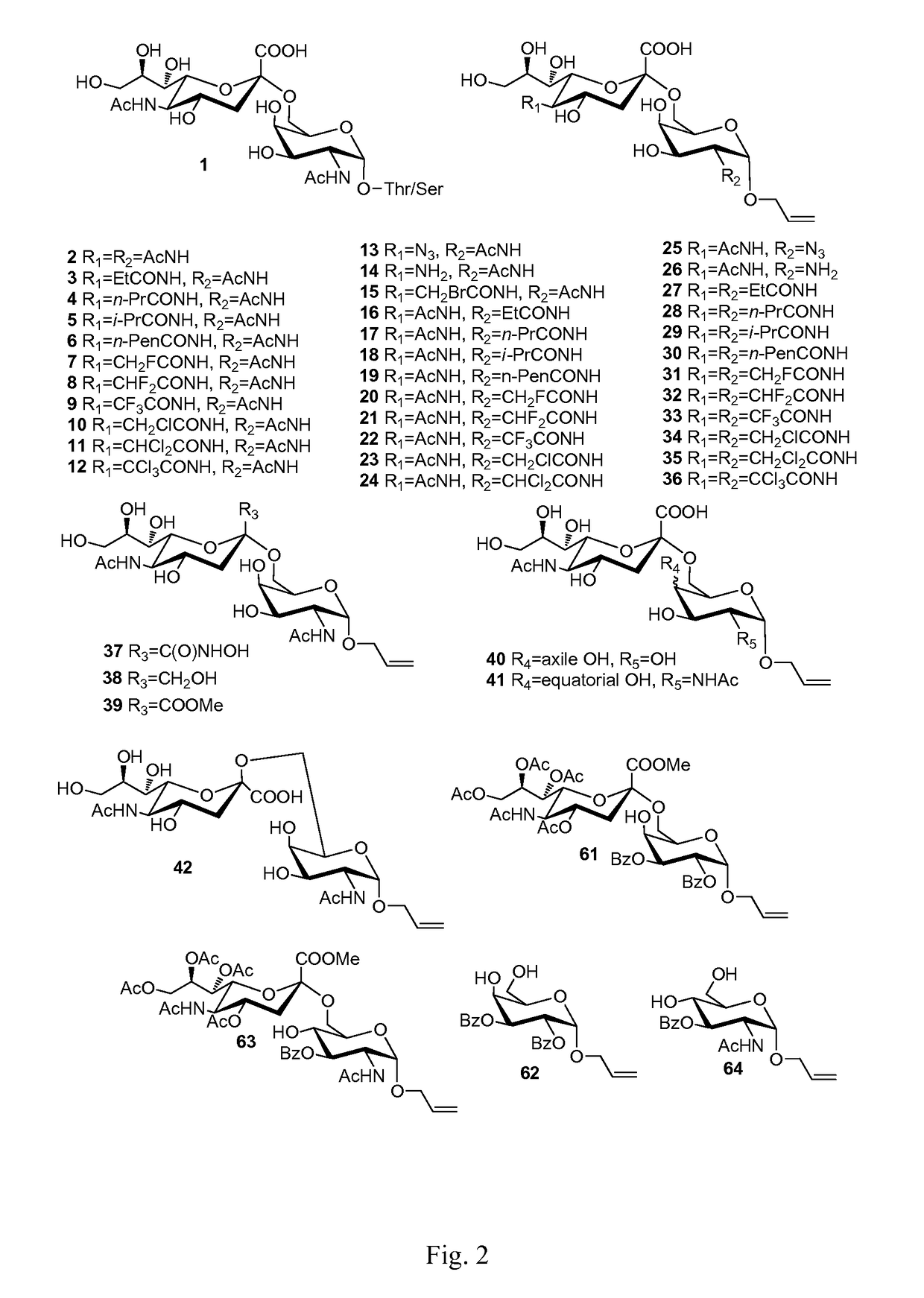 Sialic acid (A-(2-6))-D-aminopyranose derivatives, synthesis methods and uses thereof