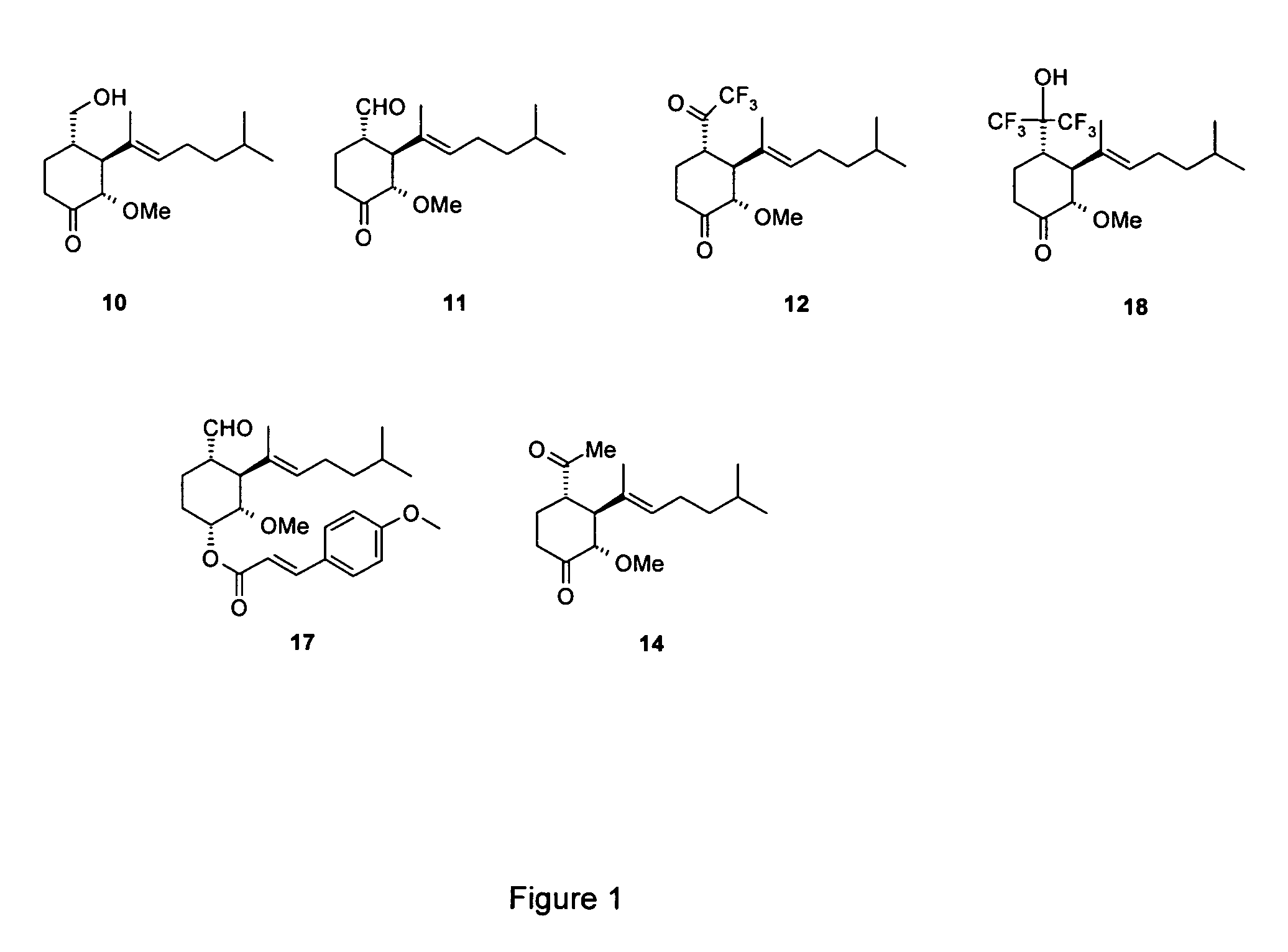 Angiogenesis inhibitors and pharmaceutical/cosmetic applications thereof