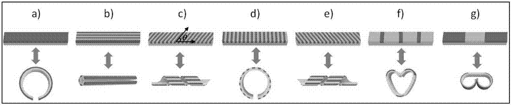 Preparation method of deformation controllable hydrogel actuator