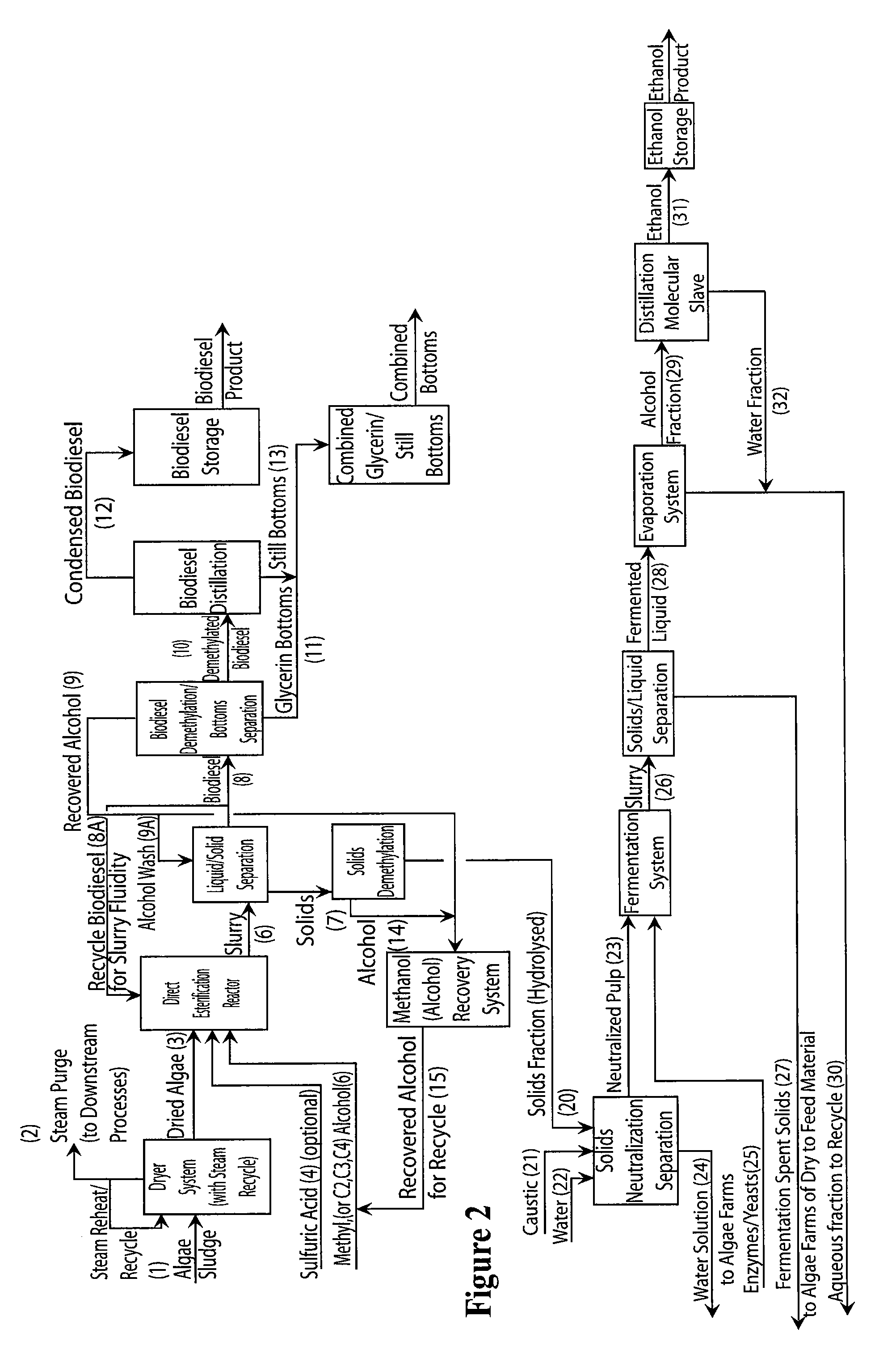 Production of biodiesel, cellulosic sugars, and peptides from the simultaneous esterification and alcoholysis/hydrolysis of materials with oil-containing substituents including phospholipids and peptidic content