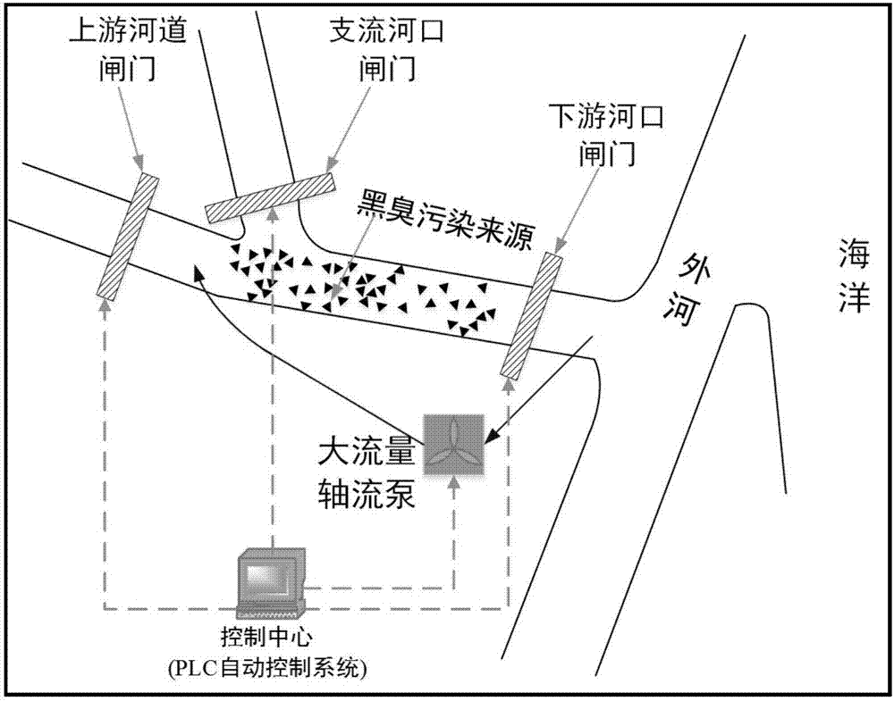 Regulation system and method for single-pass tidal black-odor riverway