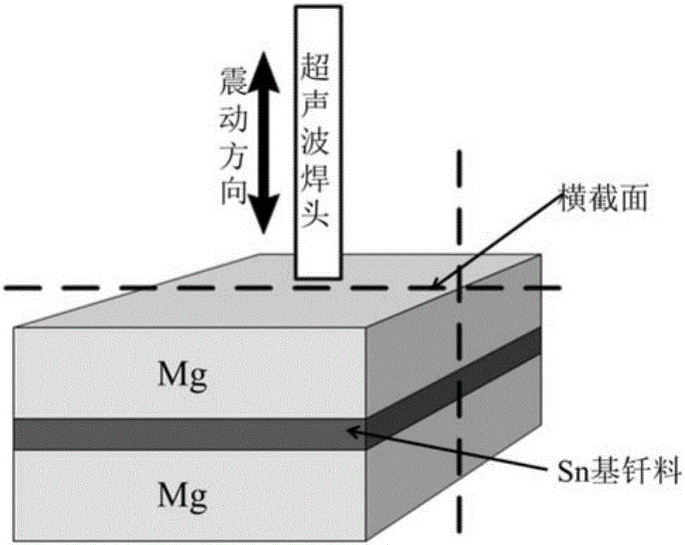 Method for rapidly evaluating growth tendency of Sn crystal whiskers of Sn-based solder