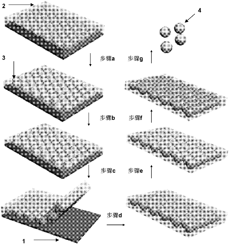Preparation method for multi-element heterogeneous asymmetric particles