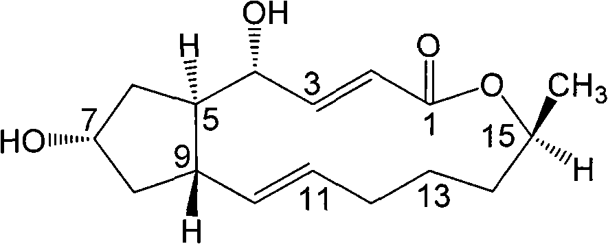 Eupenicillium brefeldianum variety ZJB082702 and application thereof in preparation of Brefeldin A by fermentation