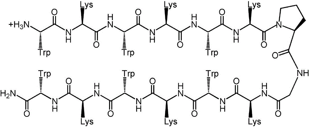 Tryptophan tension chain-beta-hairpin antibacterial peptide and preparation method and application thereof