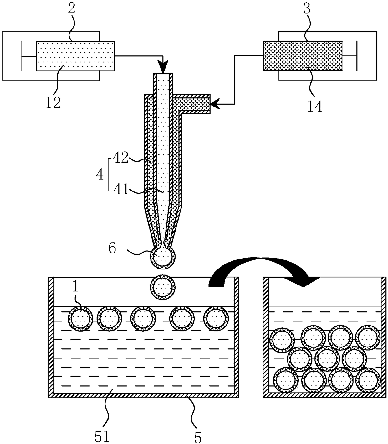 Capsule essence and method for preparing capsule essence