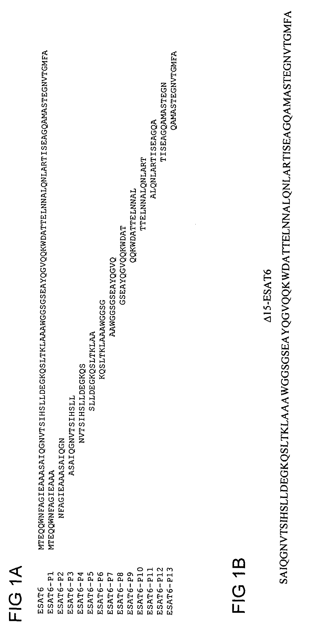 Expanding the T cell repertoire to include subdominant epitopes by vaccination with antigens delivered as protein fragments or peptide cocktails