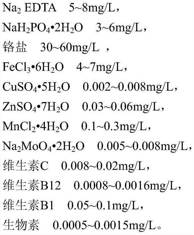 A kind of cultivation method of emerald green seawater pearl