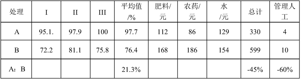 Waveform-seedling-culturing-bed seedling exercising method of bletilla-striata tissue culture seedlings