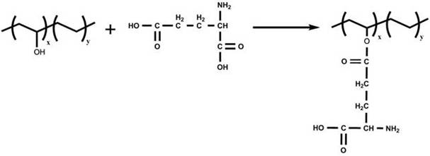 Preparation process of amino acid modified ethylene-vinyl alcohol copolymer nanofiber membrane